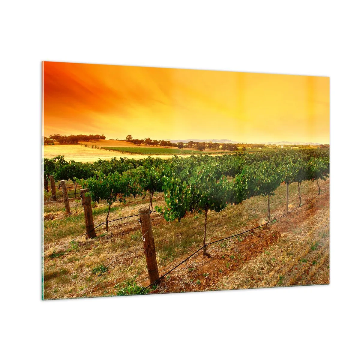 arttor1-1409743