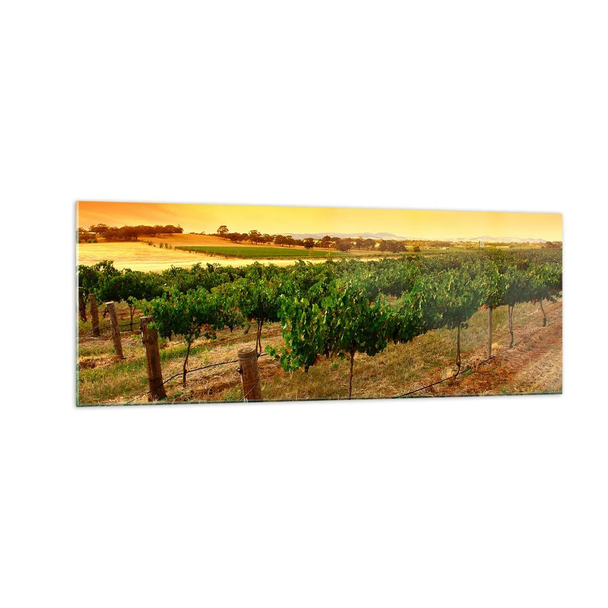 arttor1-1409760