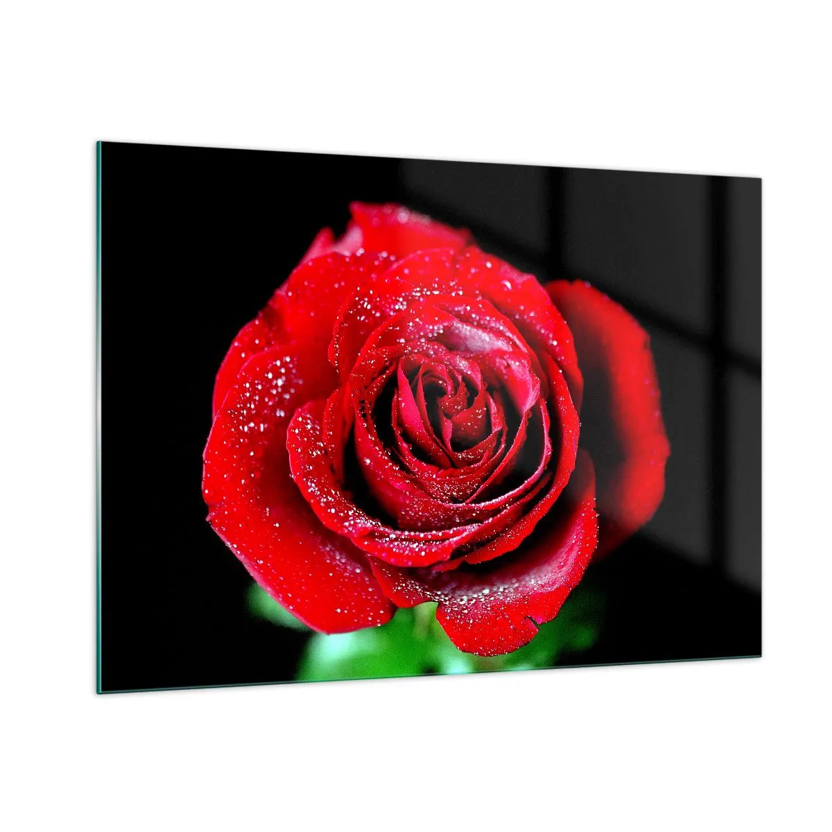 arttor1-1412516