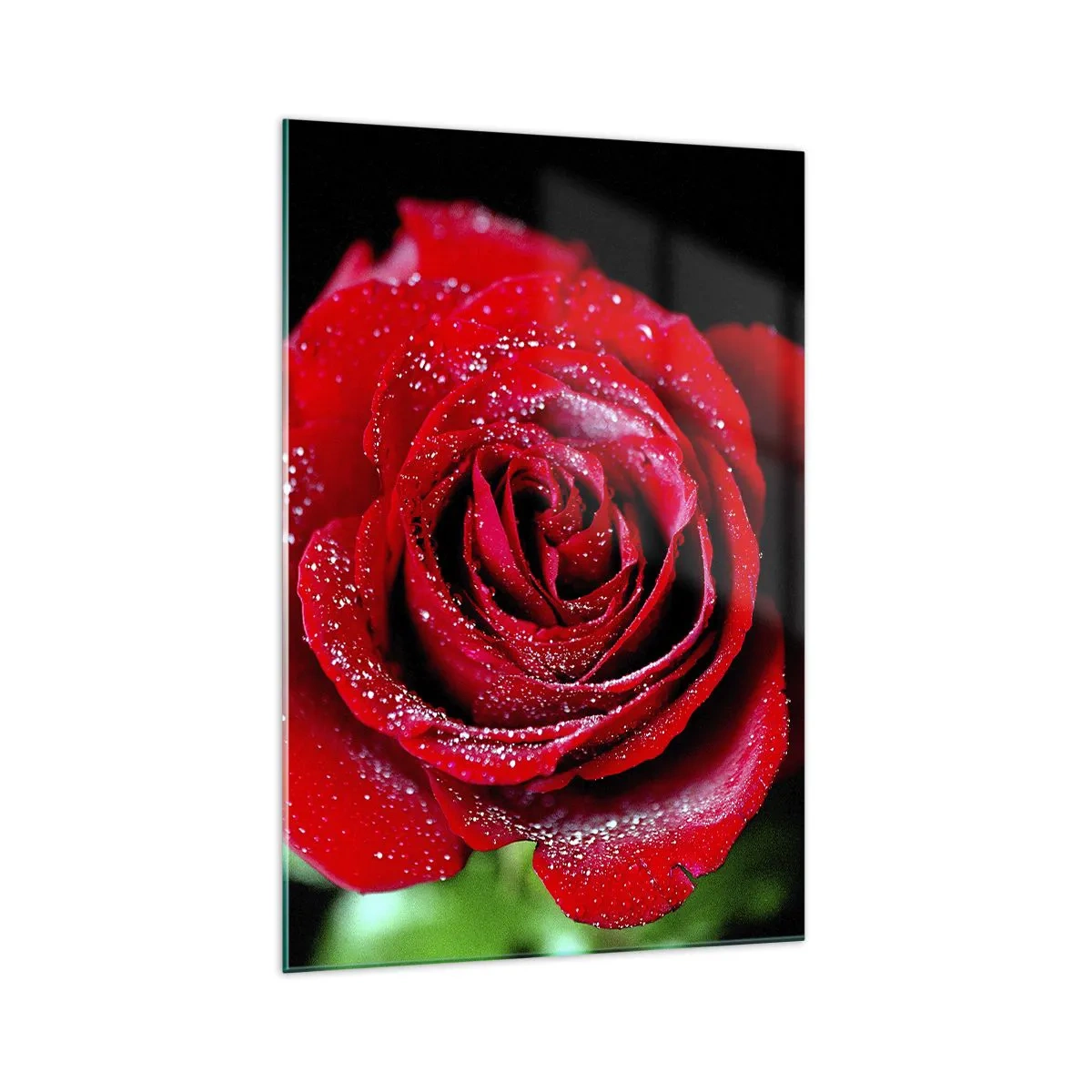 arttor1-1412537