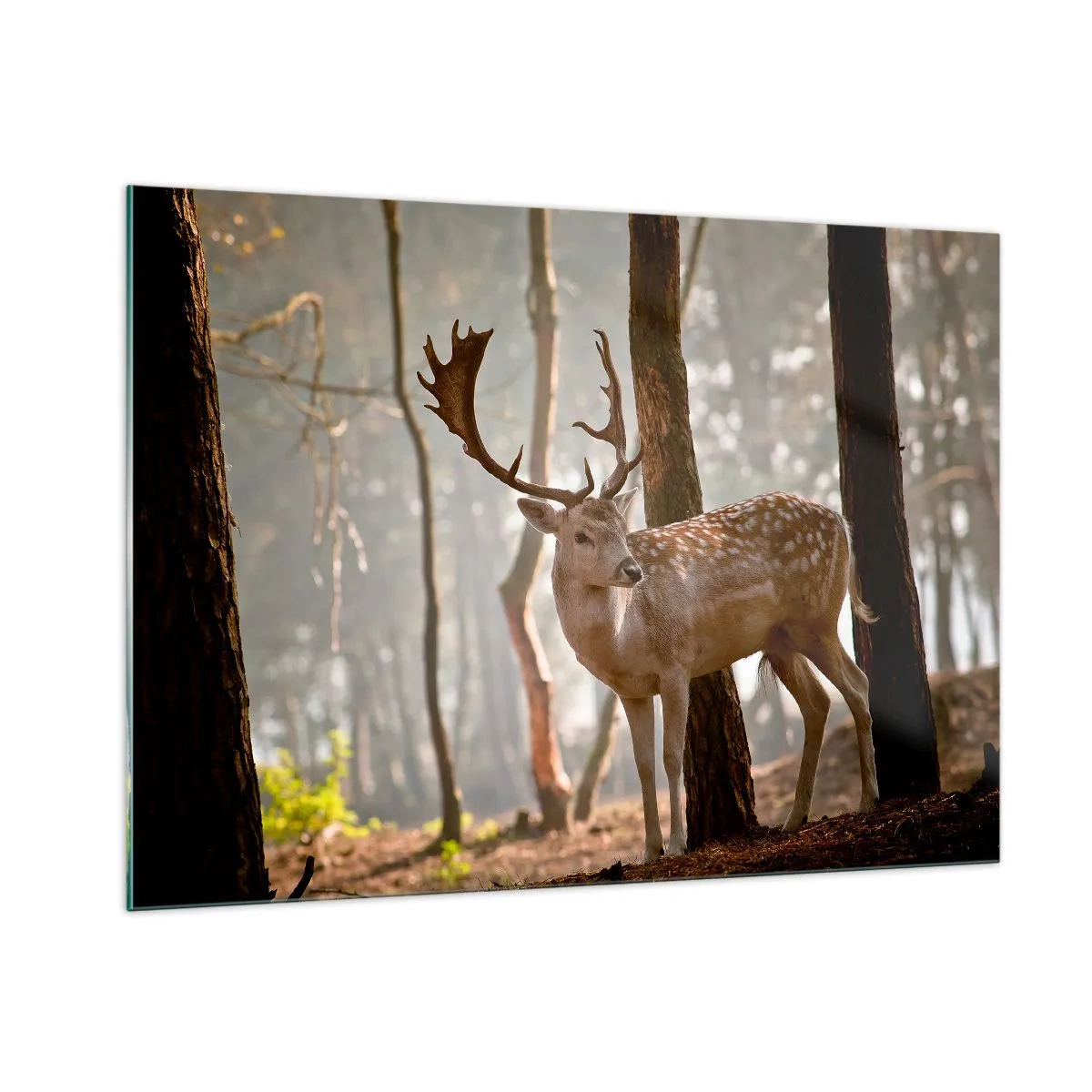 arttor1-1420624