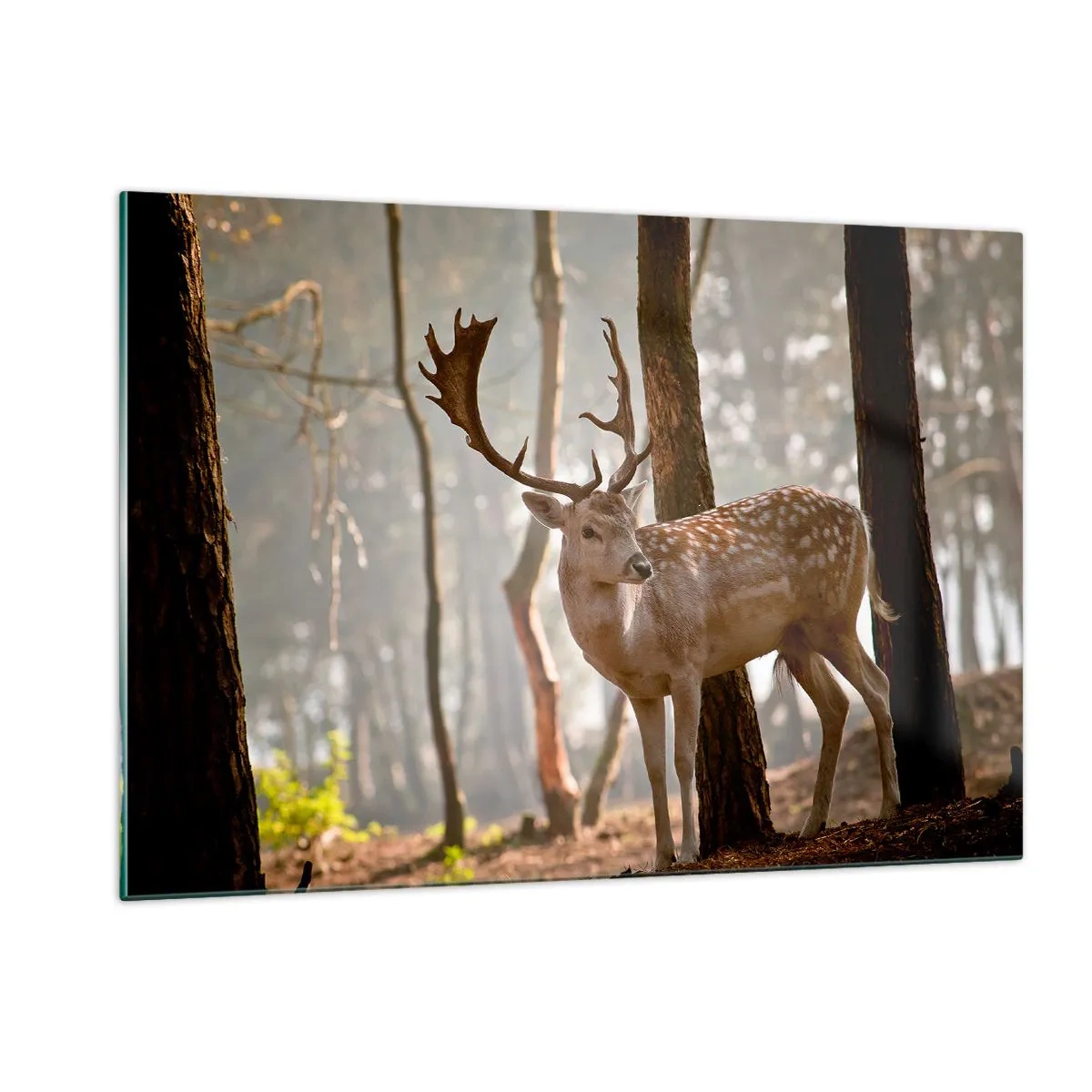 arttor1-1420626