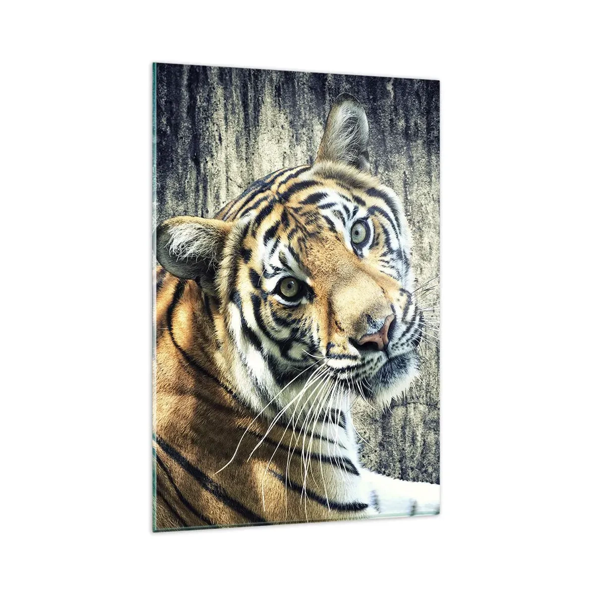 arttor1-1422079
