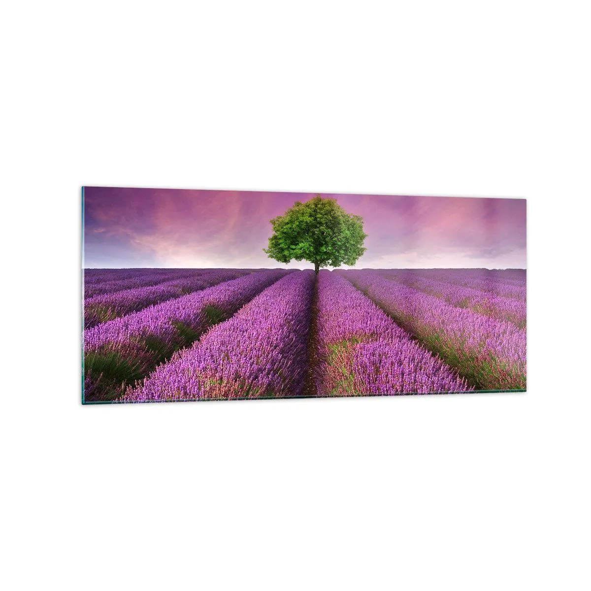 arttor1-1425096