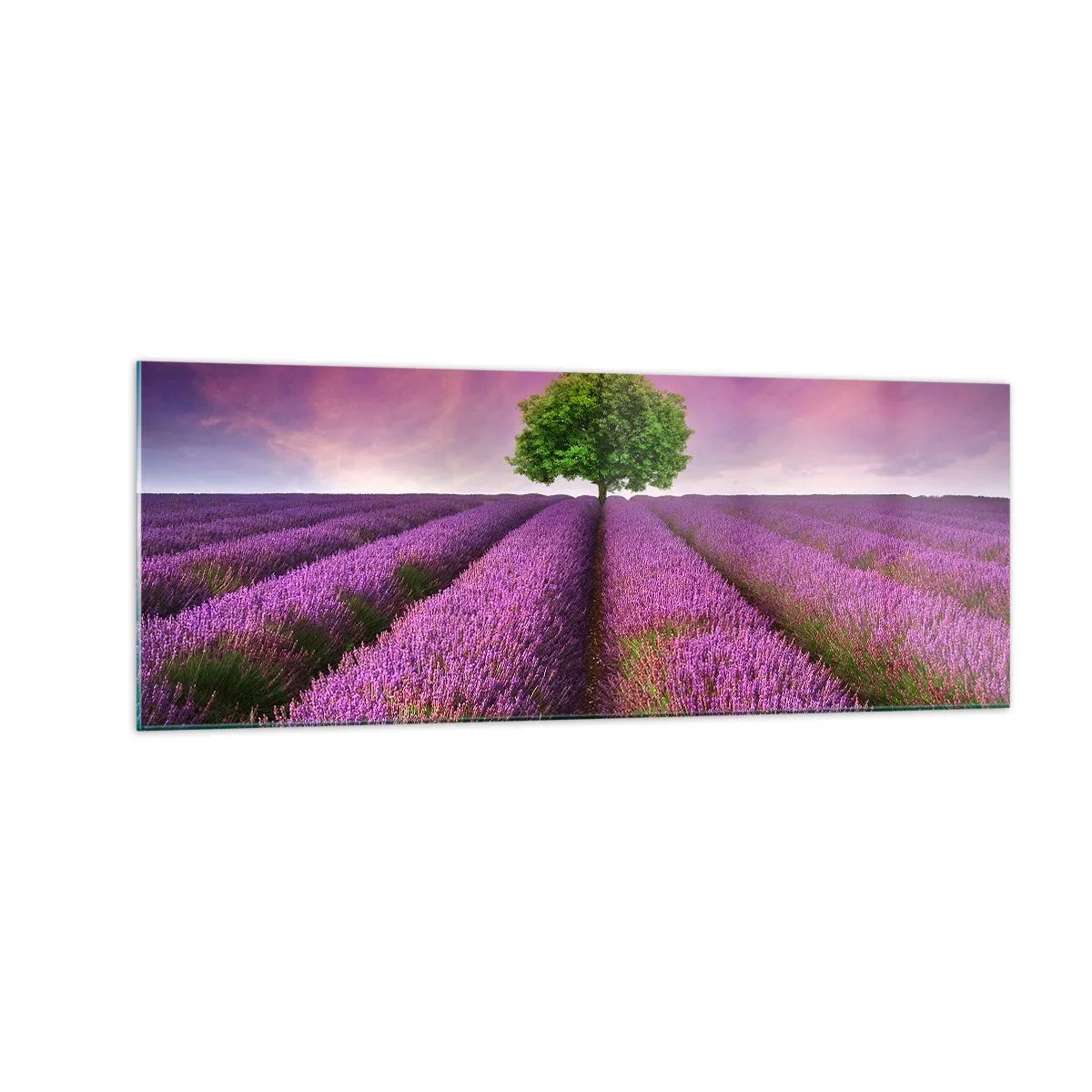 arttor1-1425100