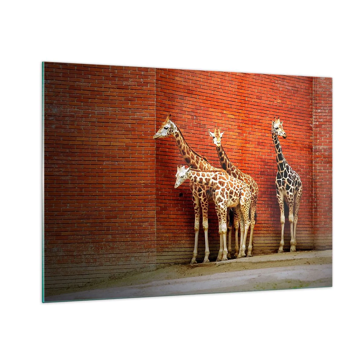 arttor1-1425952