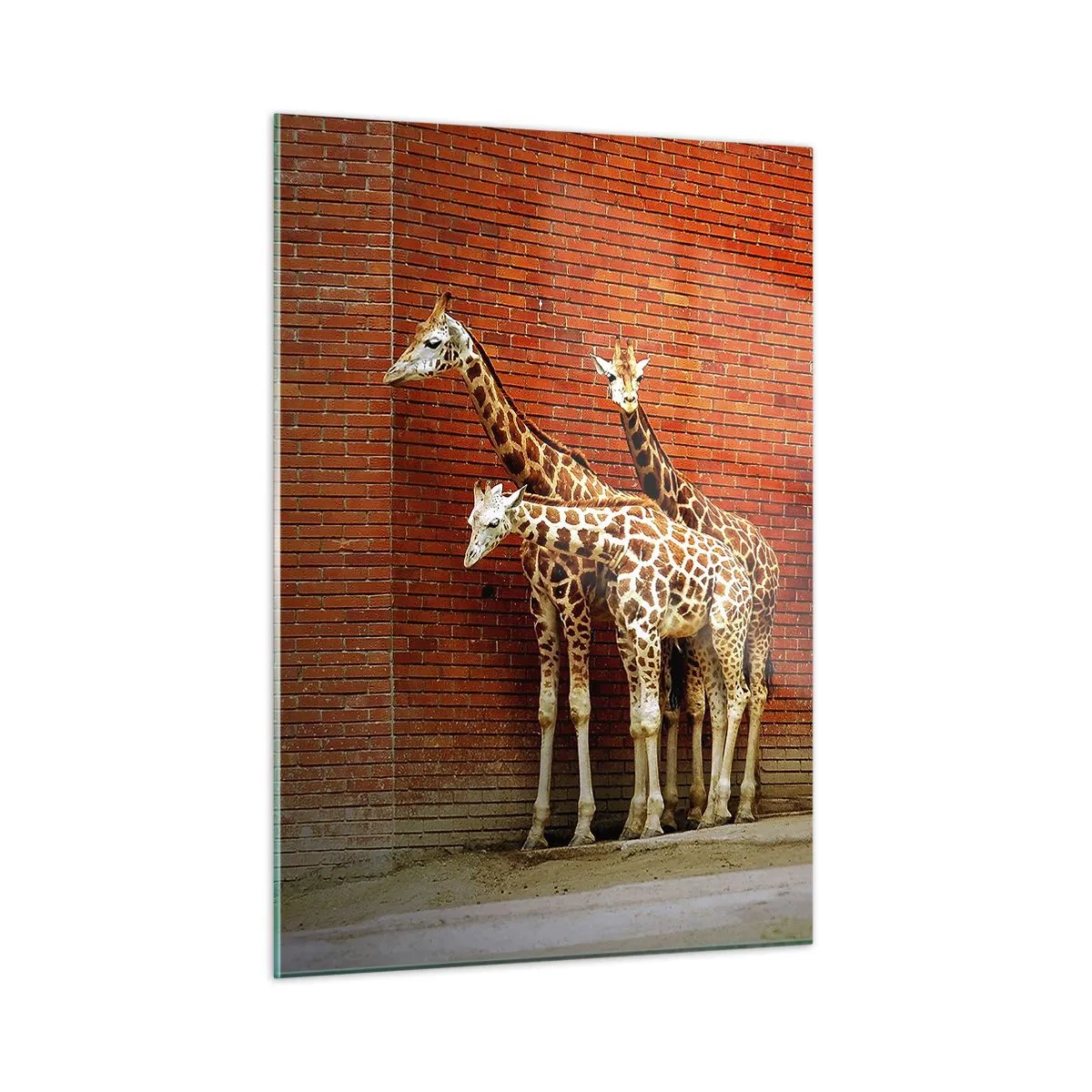 arttor1-1425975