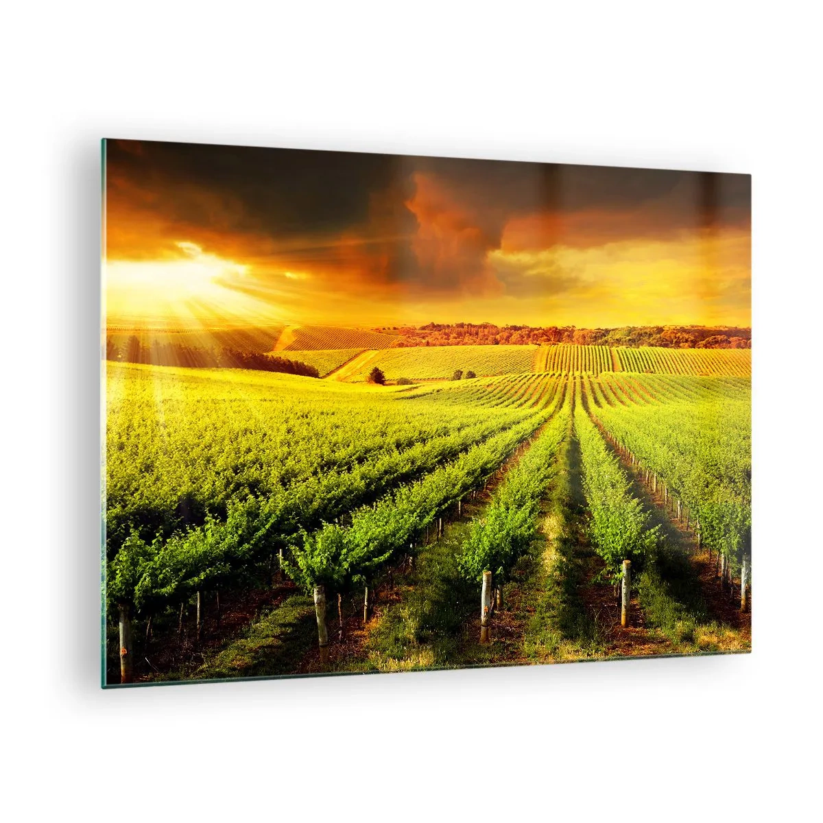 arttor1-1427457