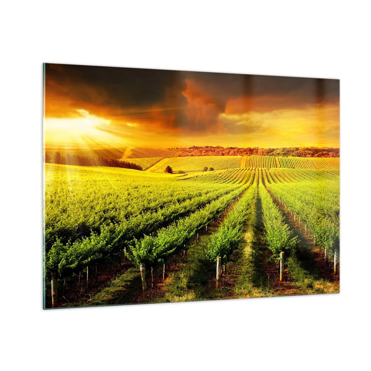 arttor1-1427462