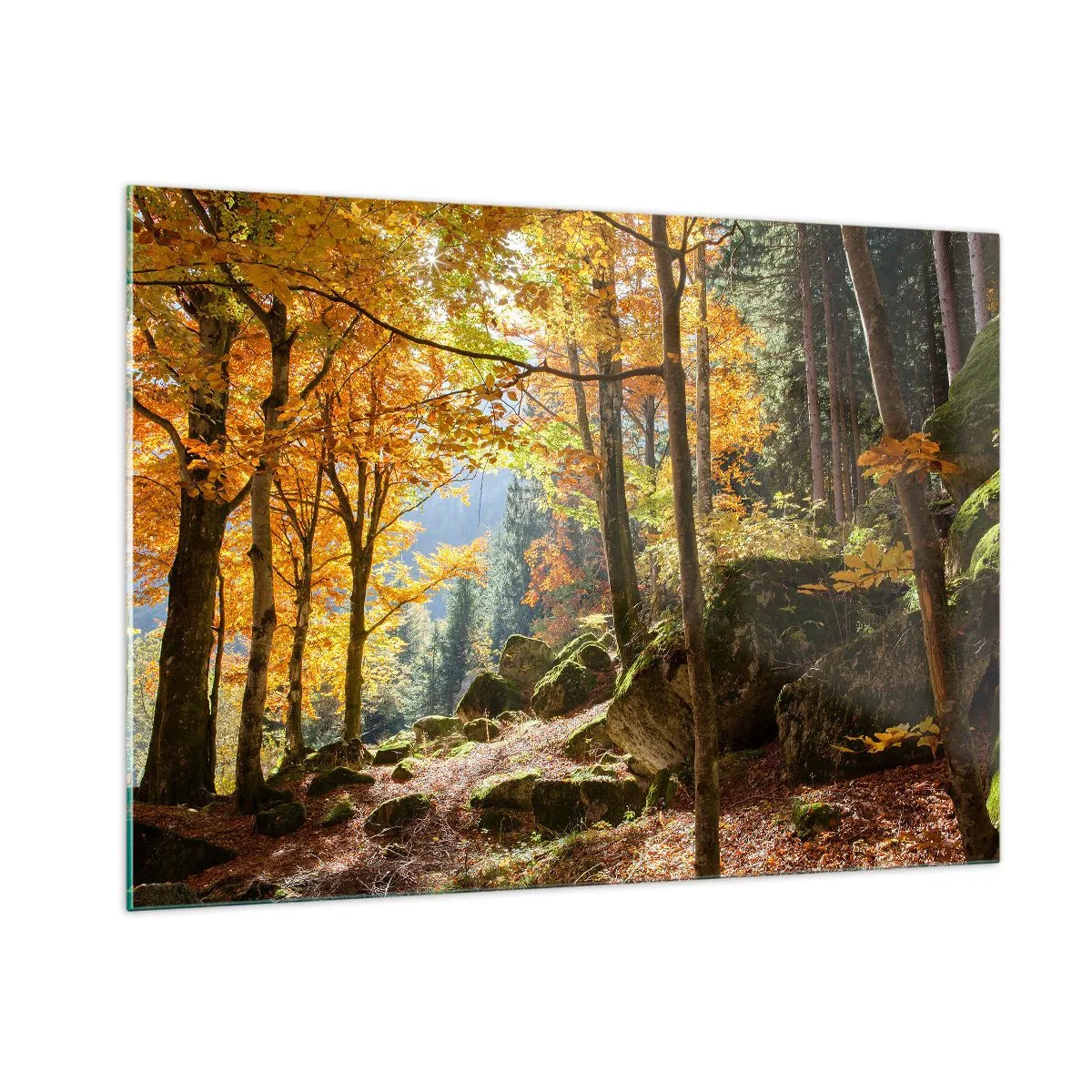 arttor1-1427966