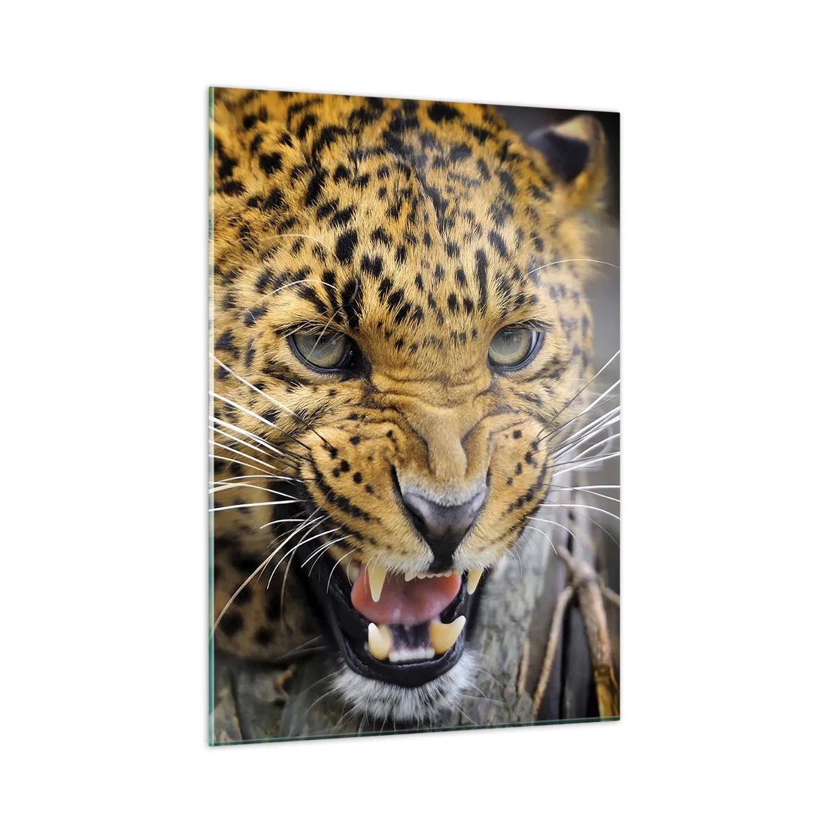arttor1-1428435