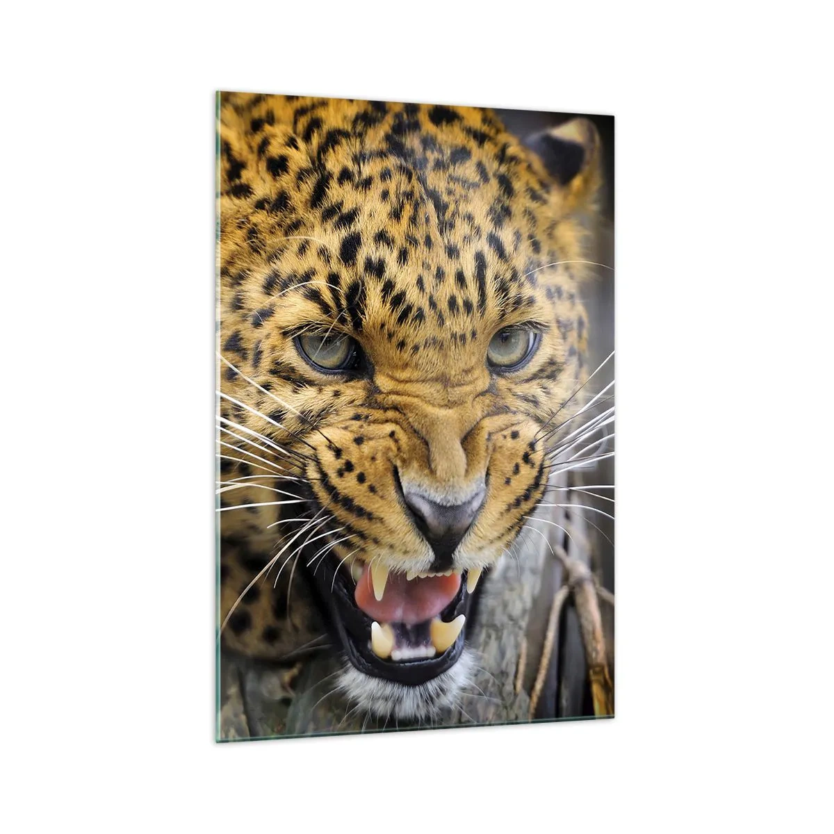 arttor1-1428442