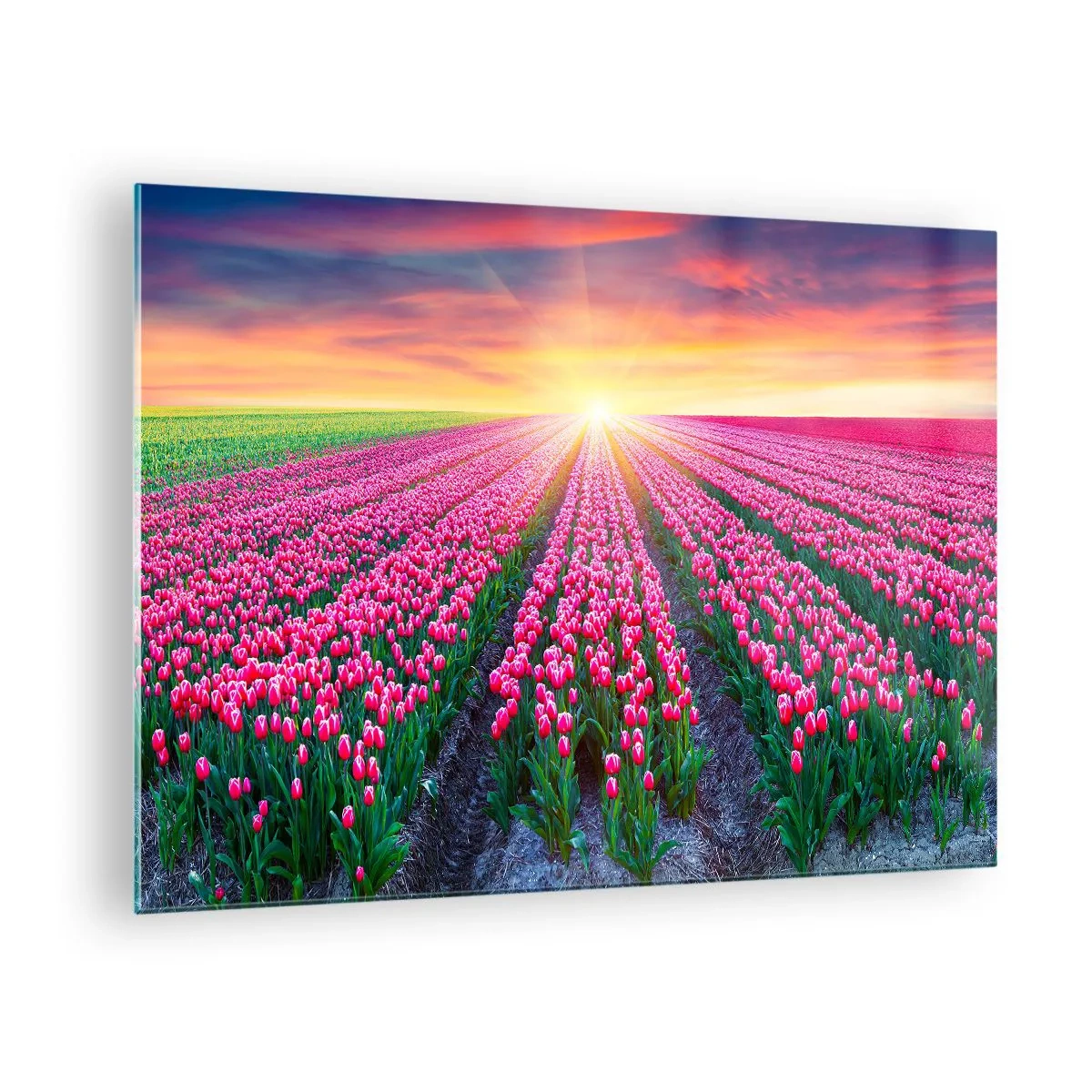 arttor1-1430474