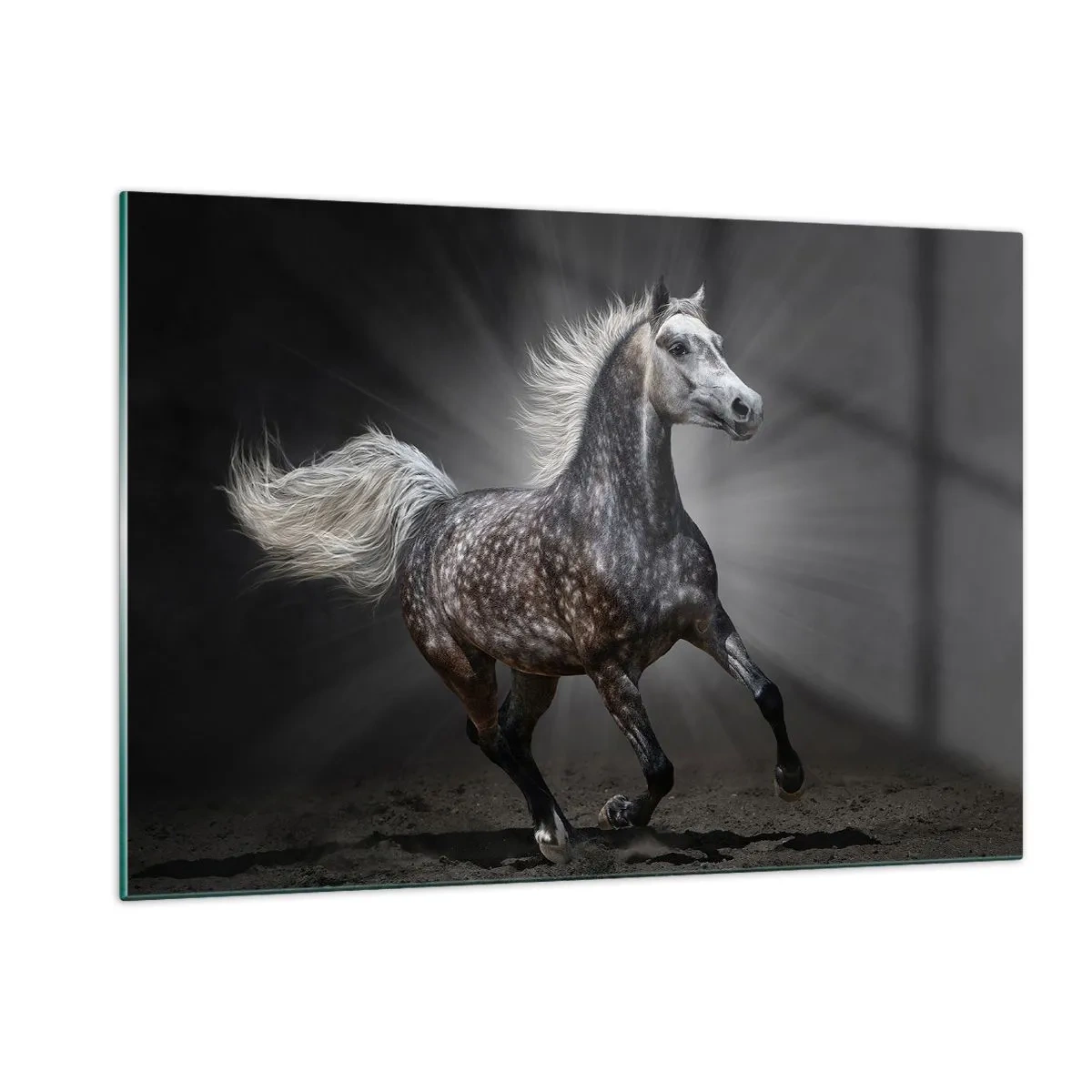 arttor1-1450473