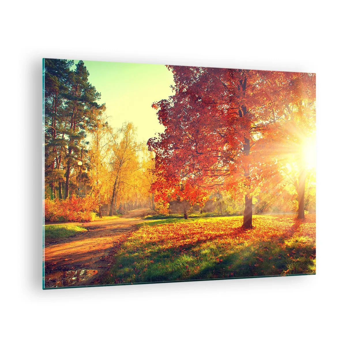 arttor1-1452374
