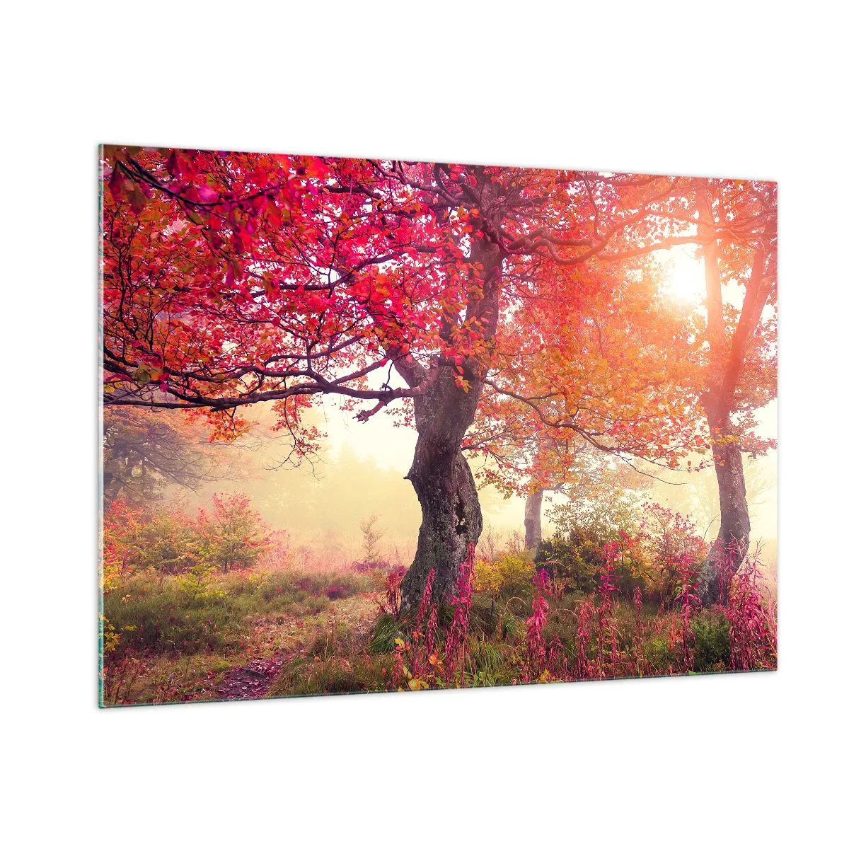 arttor1-1452504