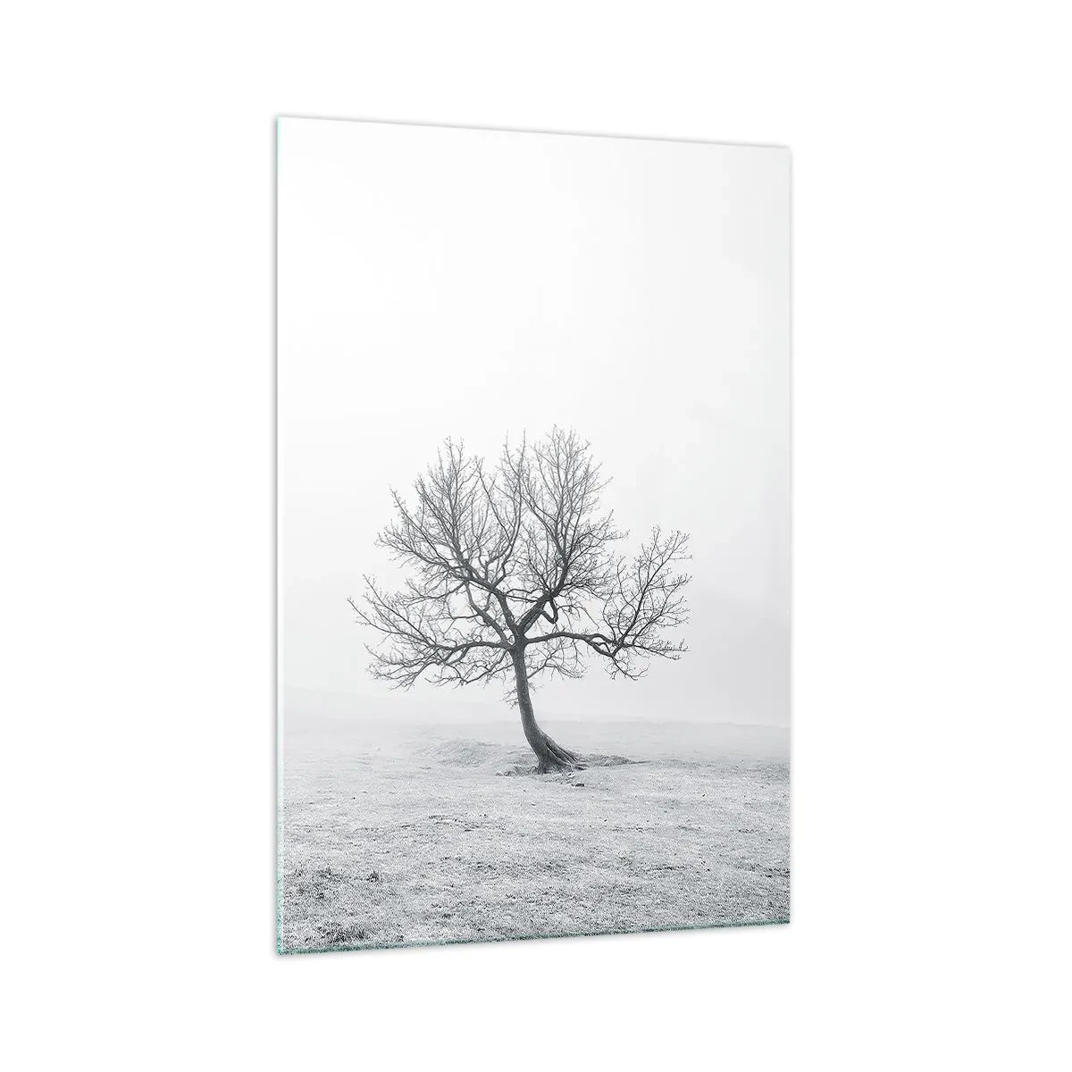 arttor1-1453340