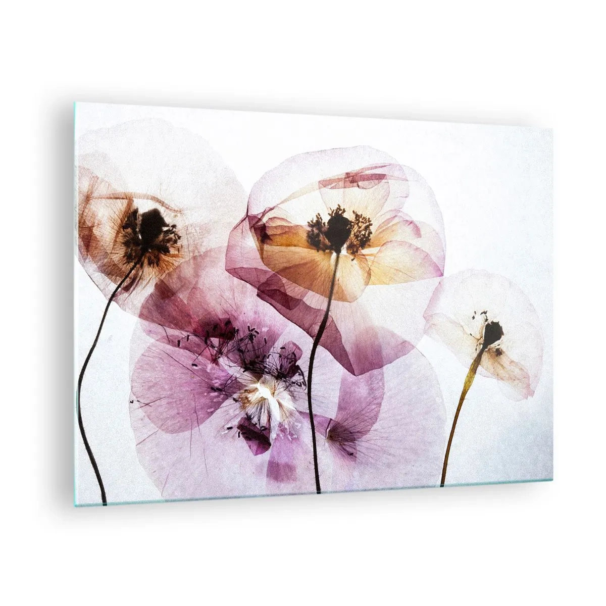 arttor1-1457646