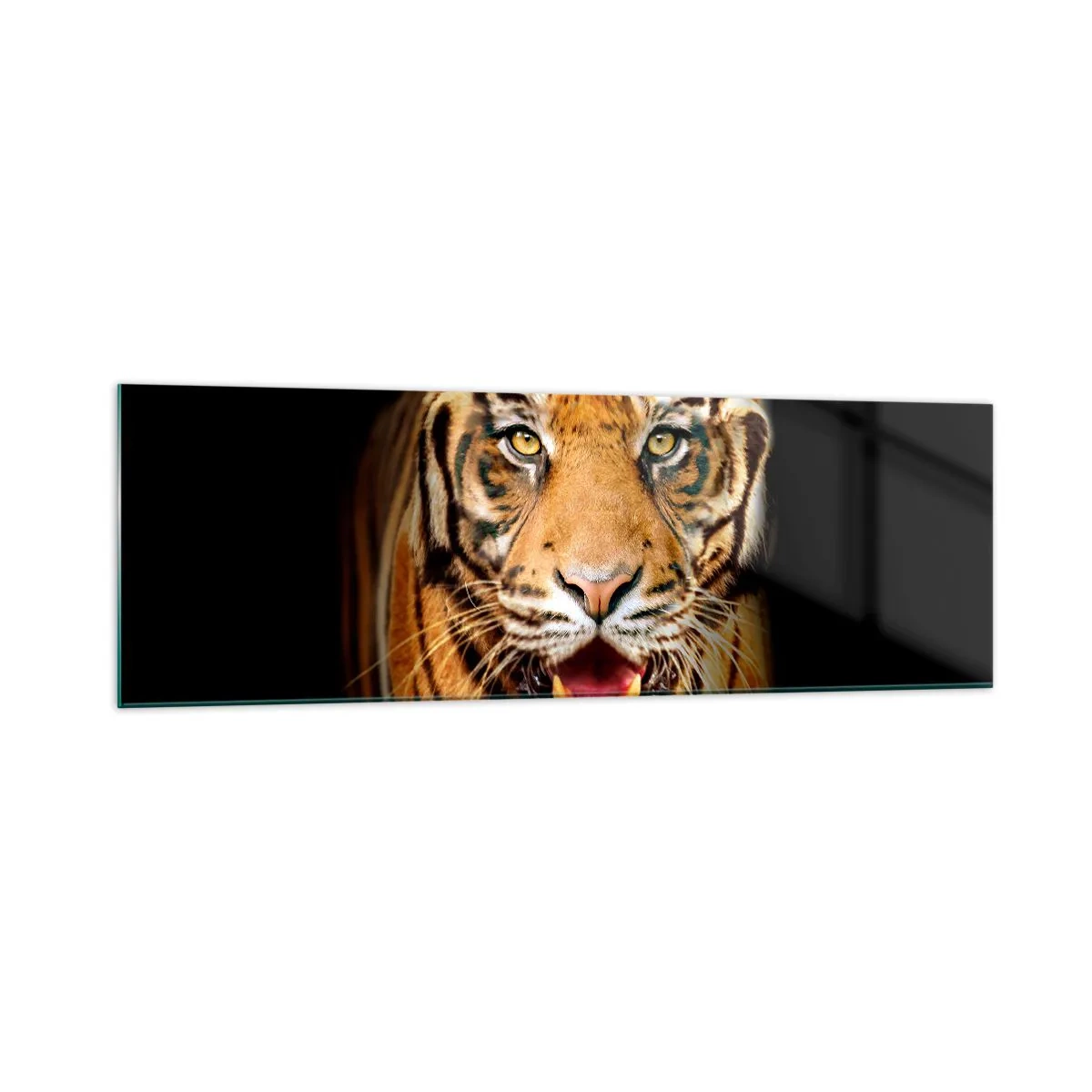 arttor1-1460432