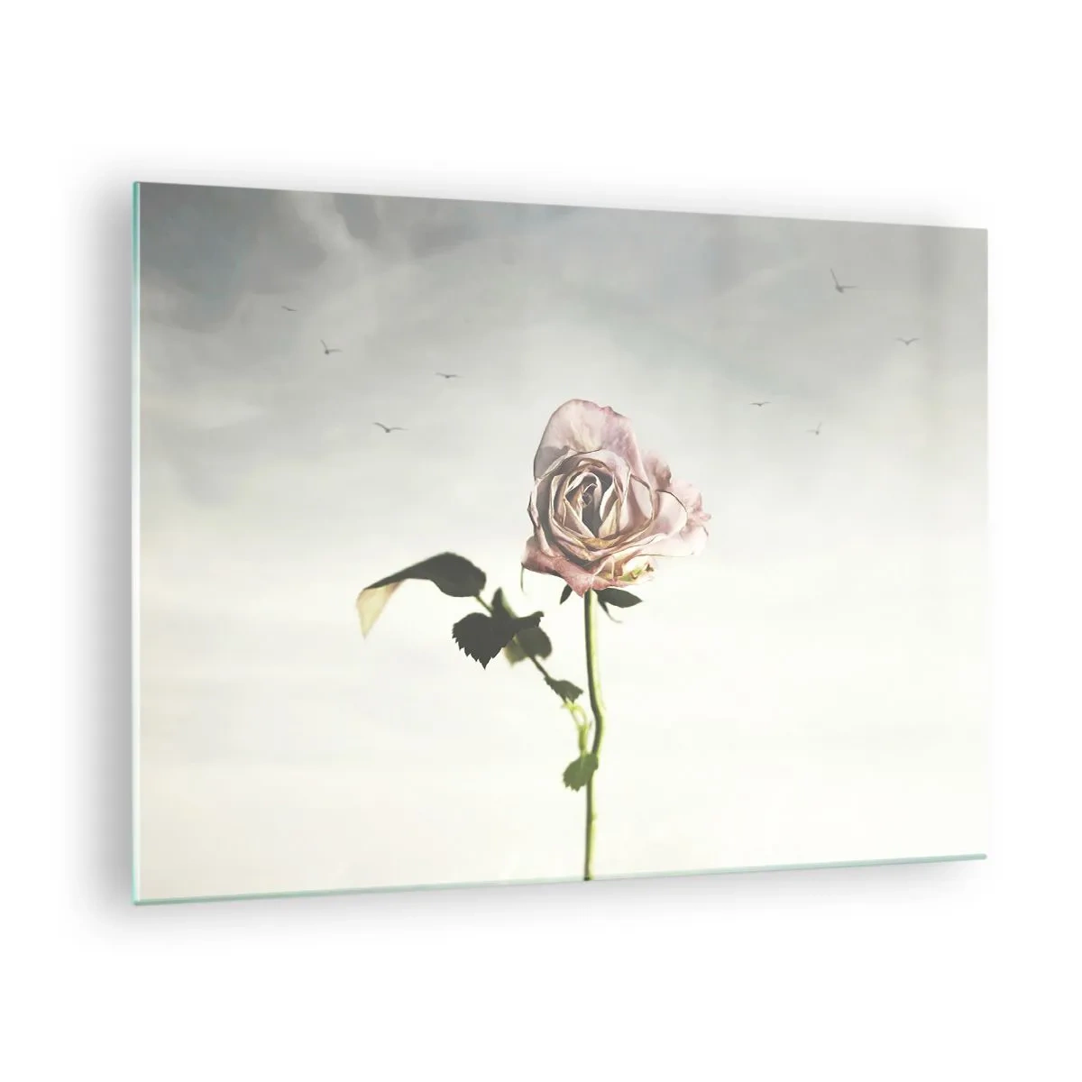 arttor1-1463792