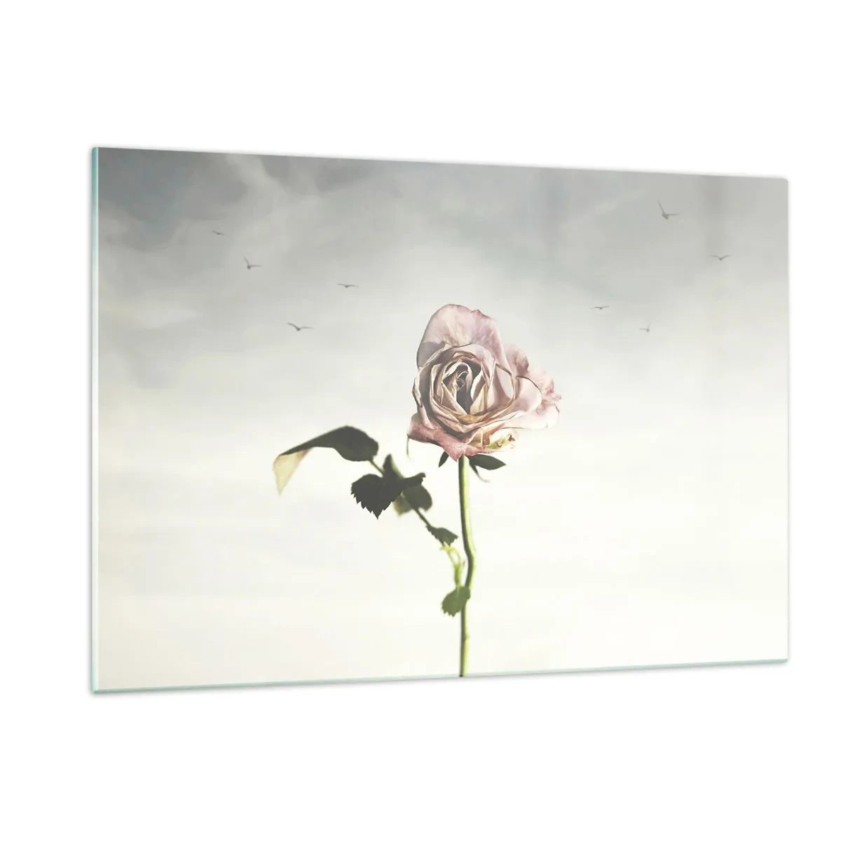arttor1-1463796
