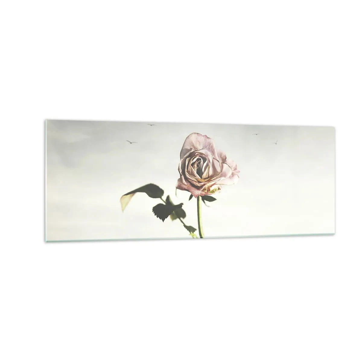 arttor1-1463797