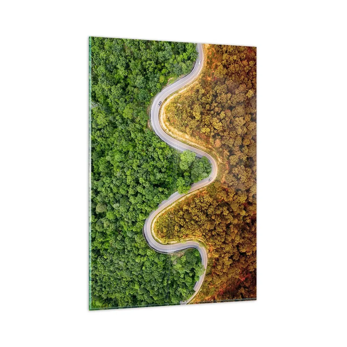 arttor1-1465088