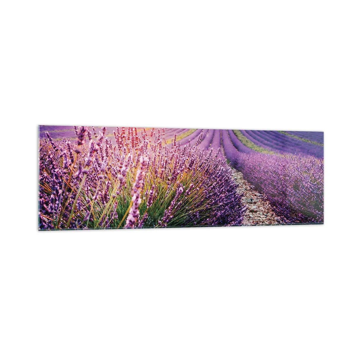 arttor1-1465477