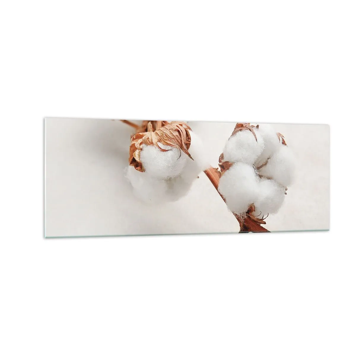 arttor1-1466679