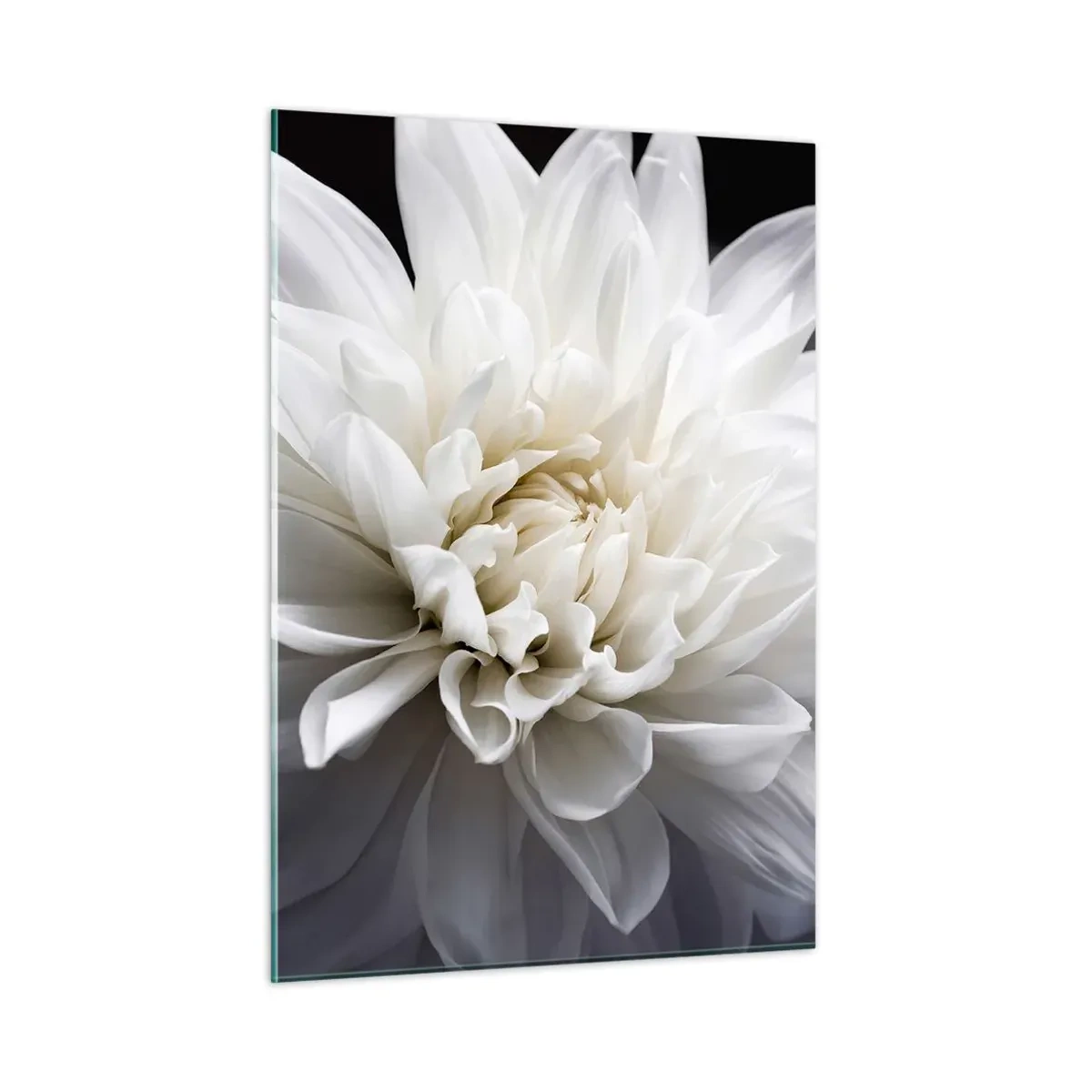 arttor2-175054