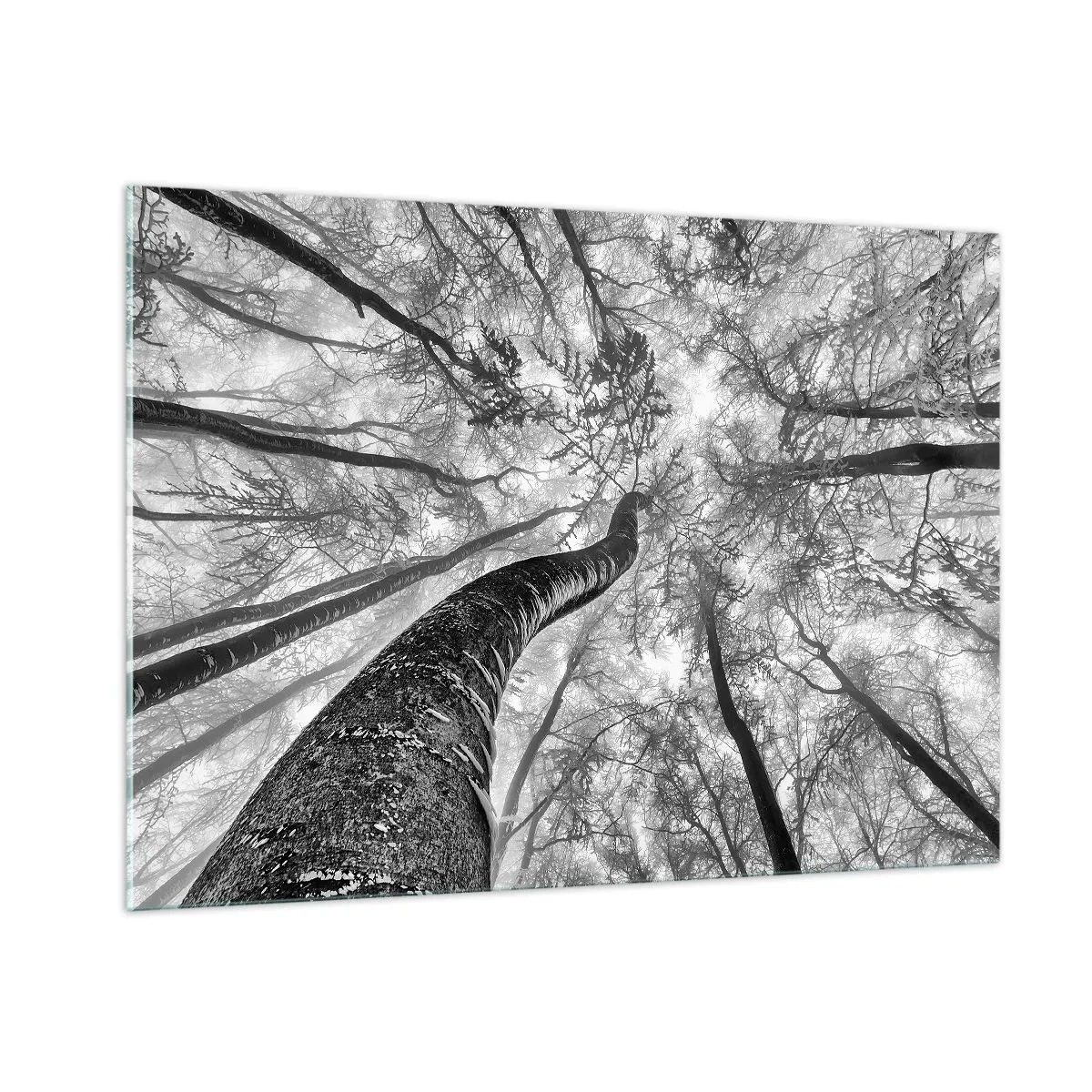 arttor2-189027