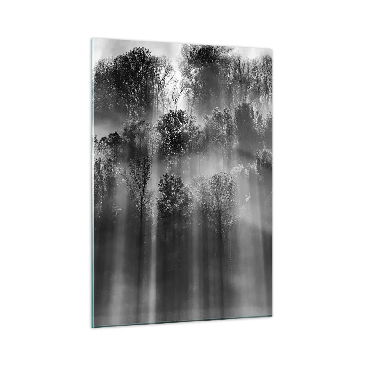 arttor2-214613