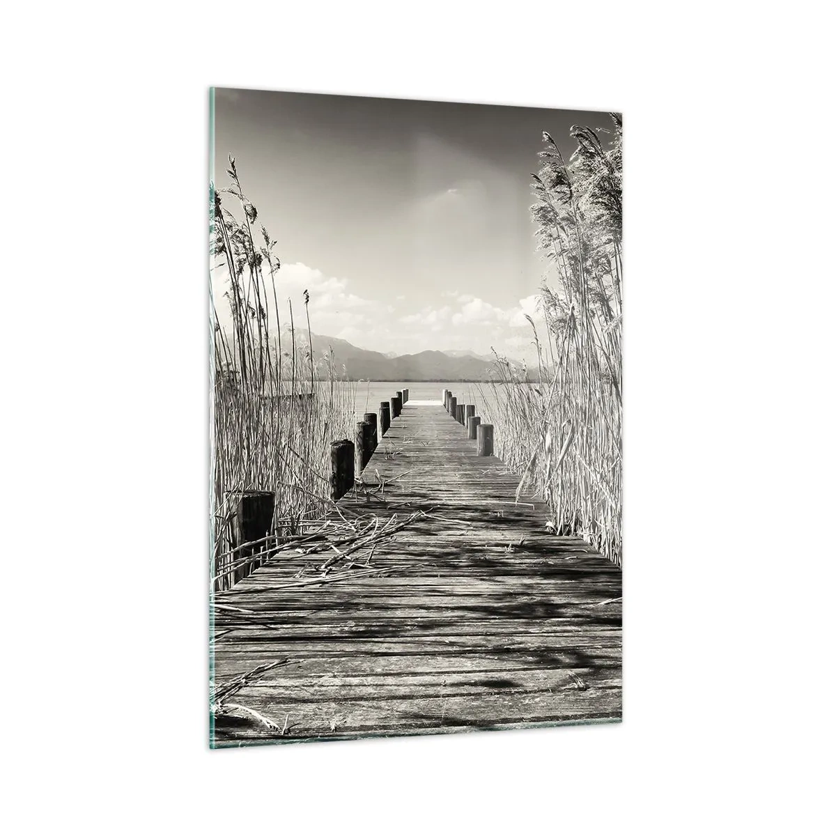 arttor2-215137
