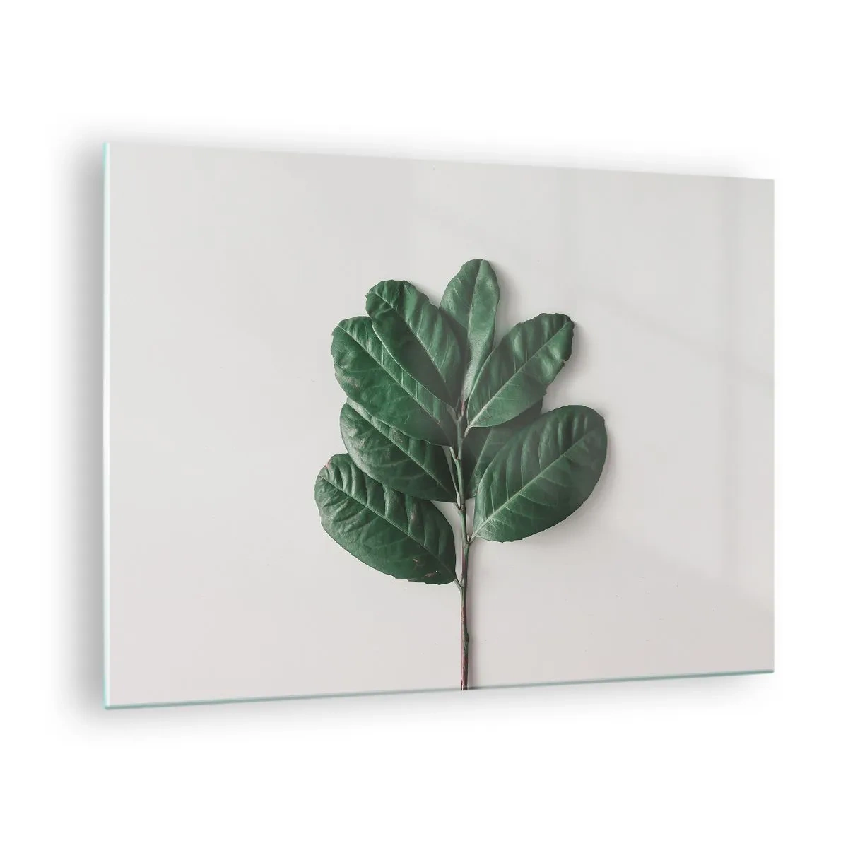 arttor2-215510