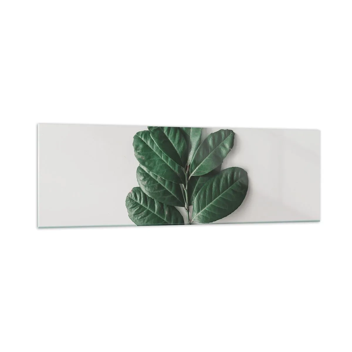 arttor2-215519