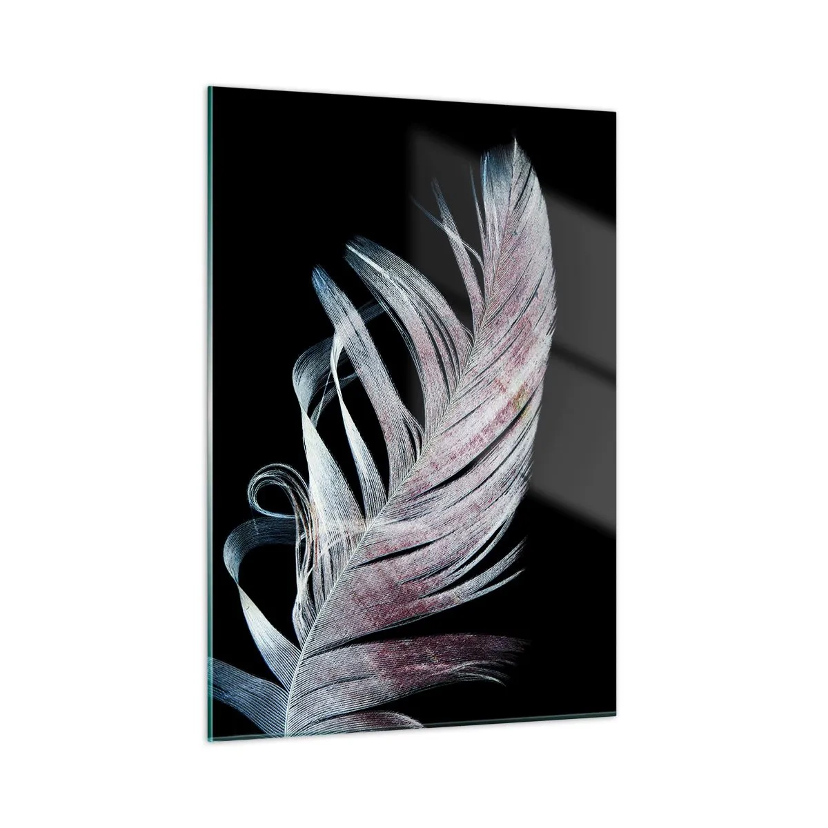 arttor2-215564