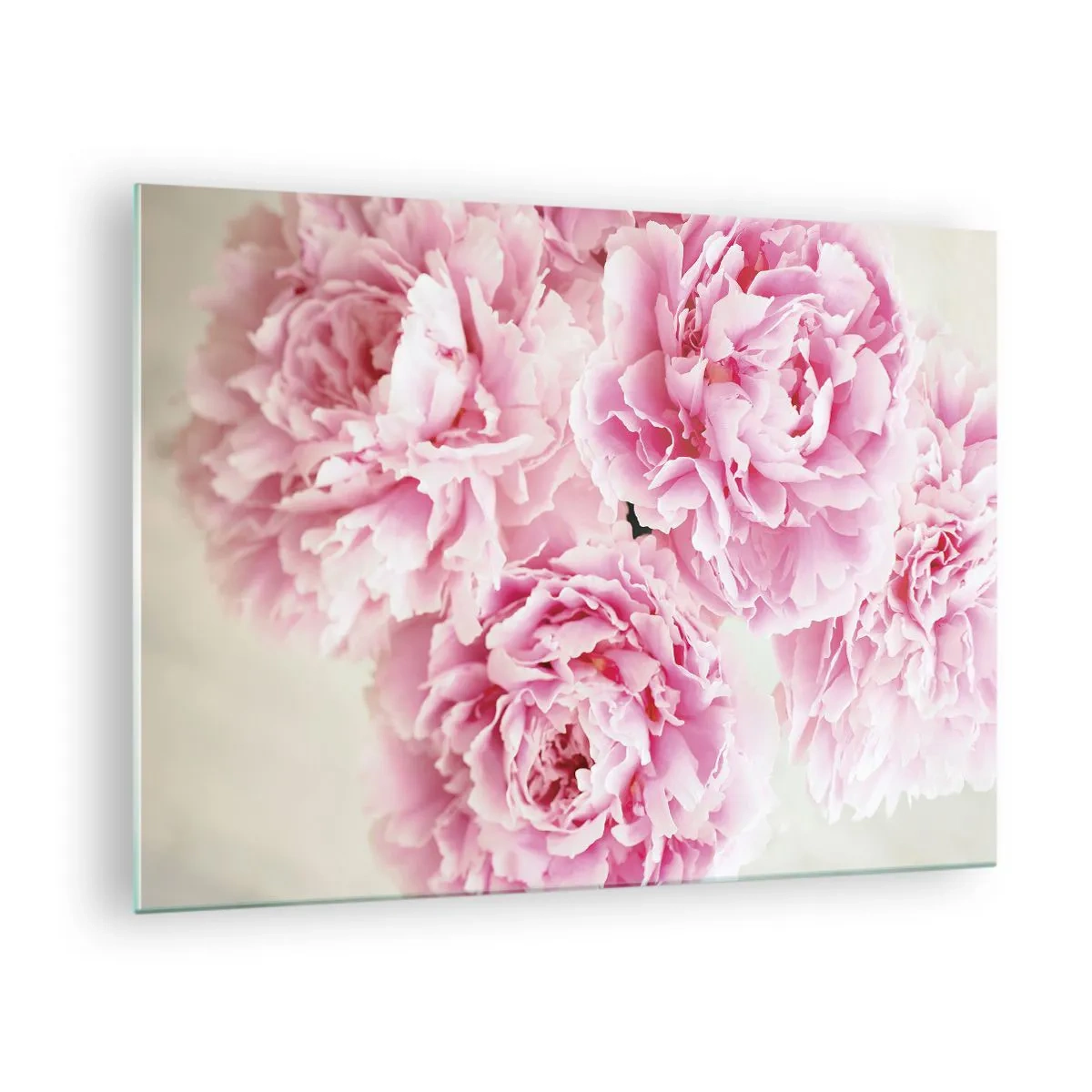arttor2-215584