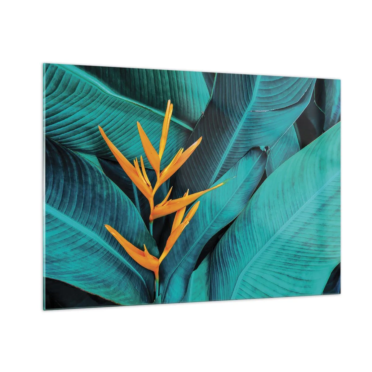 arttor2-217786
