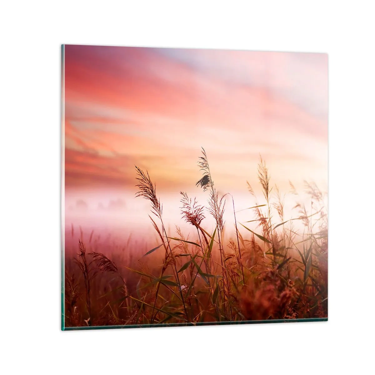 arttor3-215012