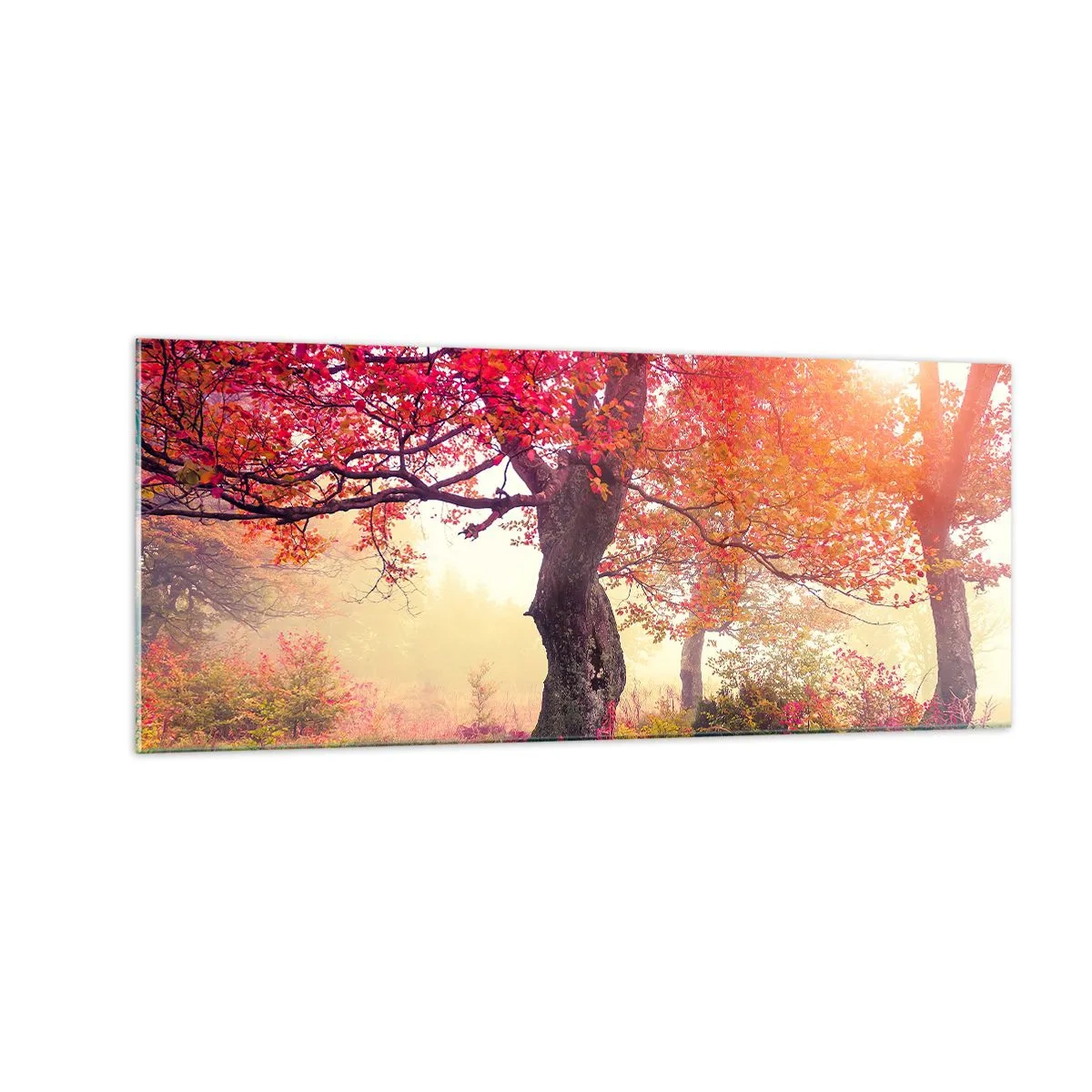 arttor3-216591