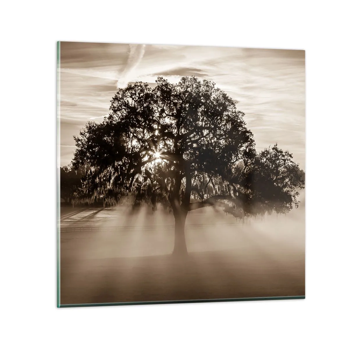 arttor3-249476