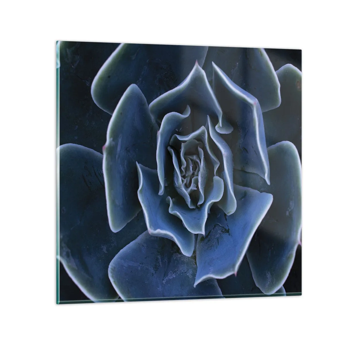 arttor3-278163