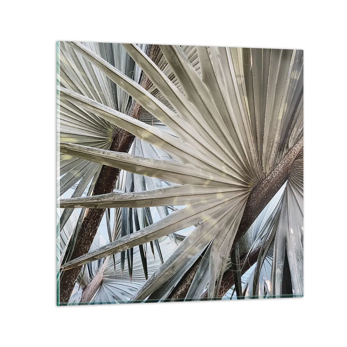 arttor3-280537