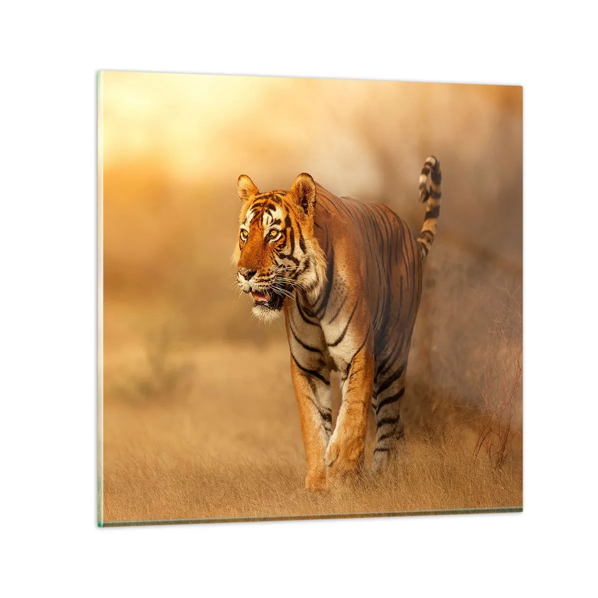 arttor3-323096