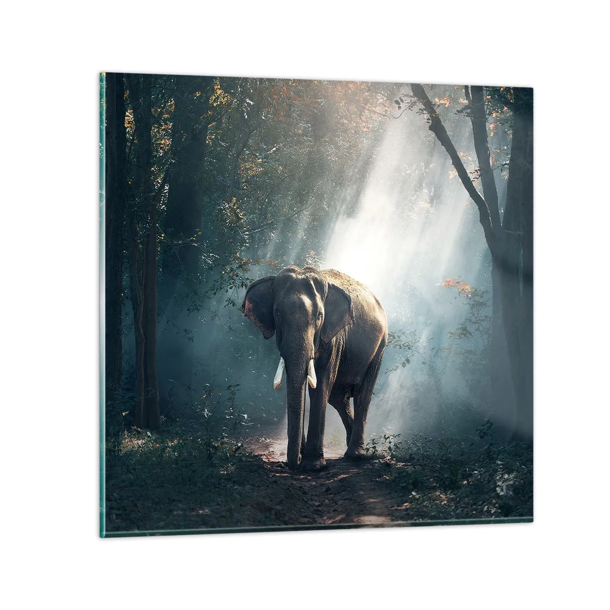 arttor3-323634