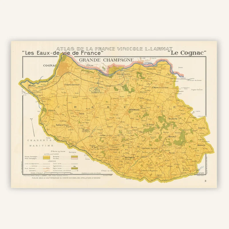 cartopolo1287338