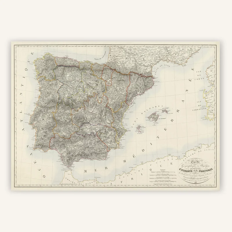 cartopolo1288119