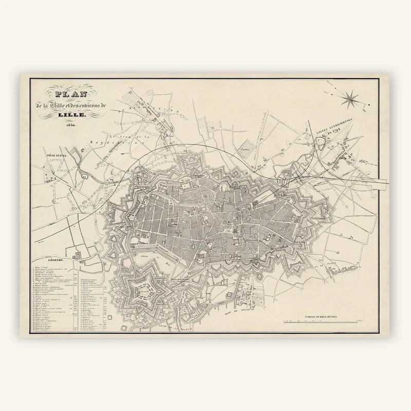cartopolo1290103