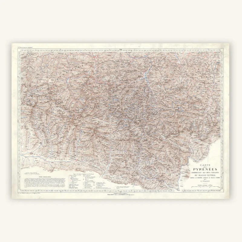 cartopolo1290563