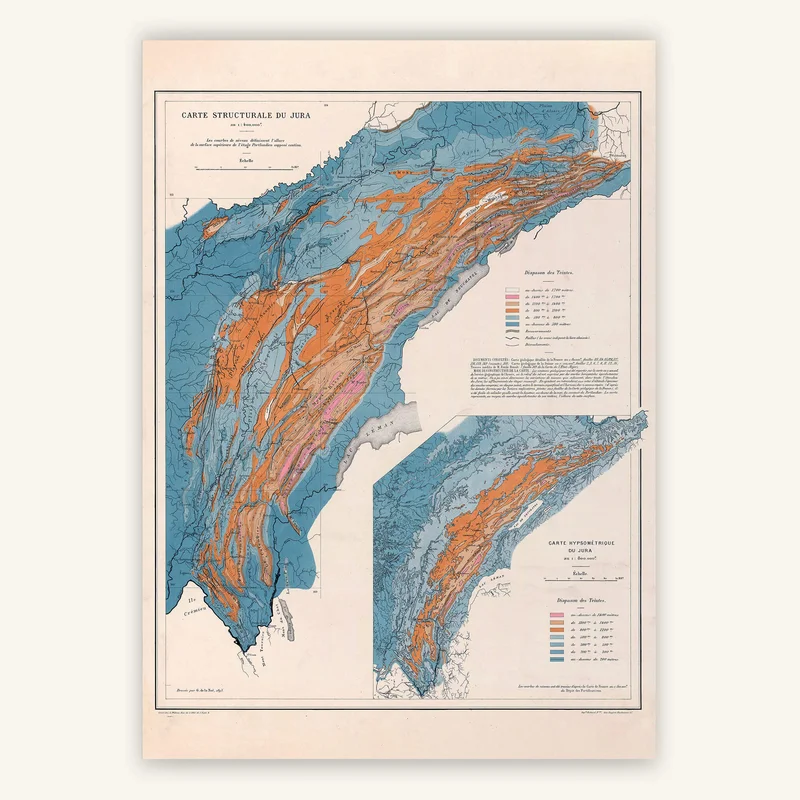 cartopolo1293910